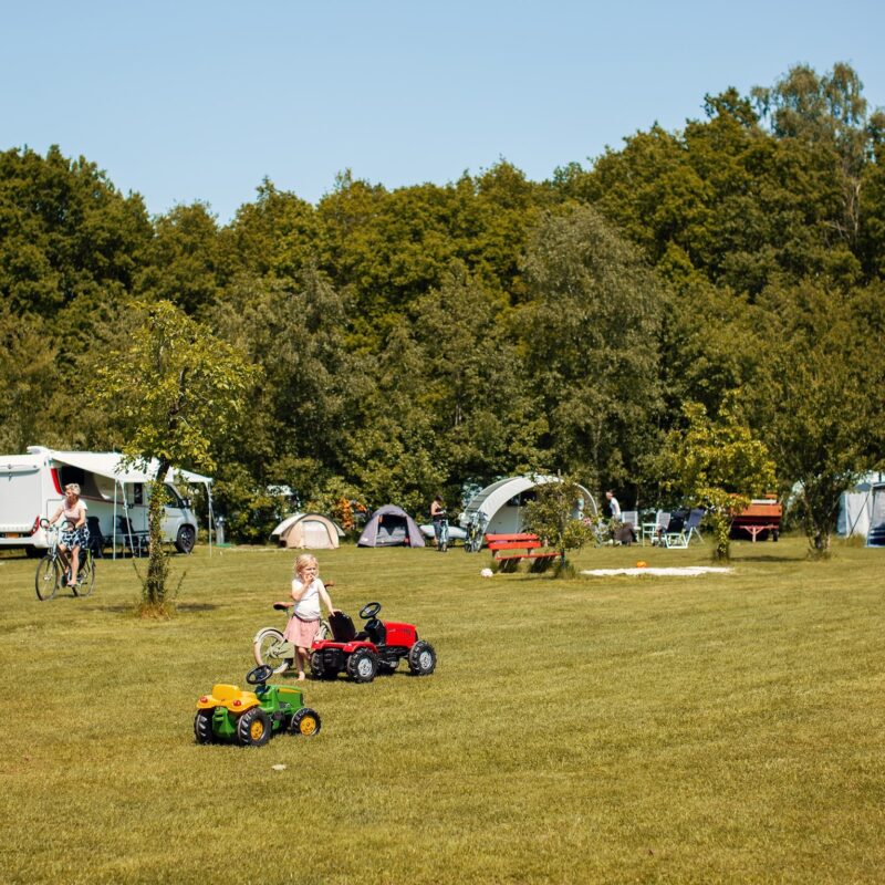 026-CampingTikvah-Pinksteren-2023-min
