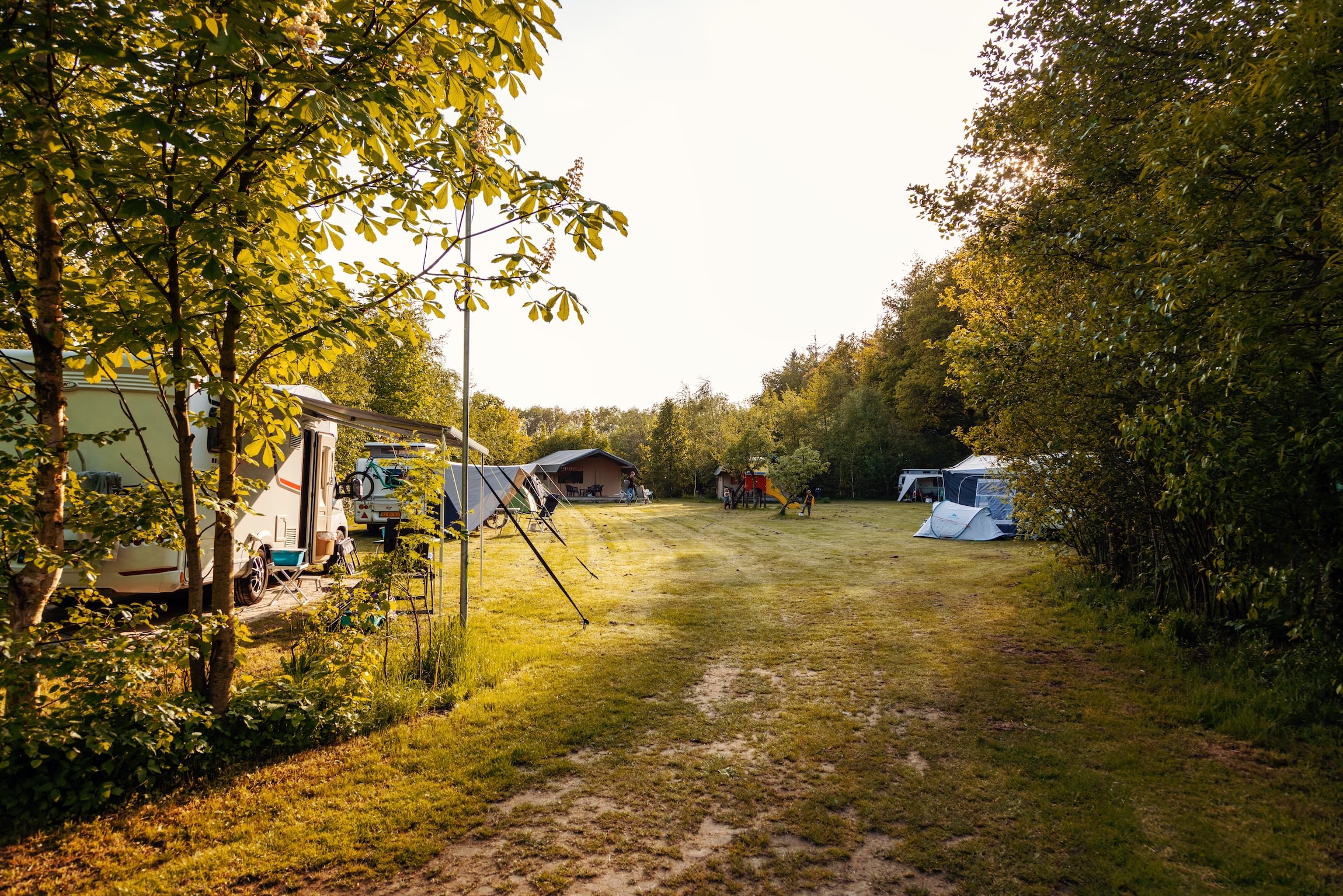 safaritent tikvah camping Drenthe