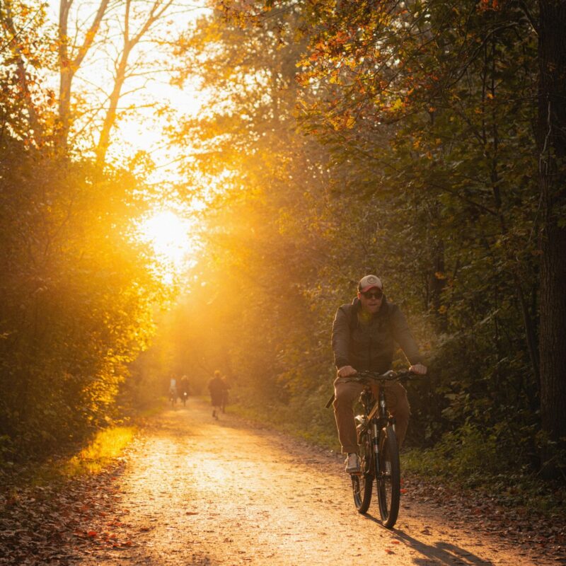 fietsvakantie-drenthe-tikvah