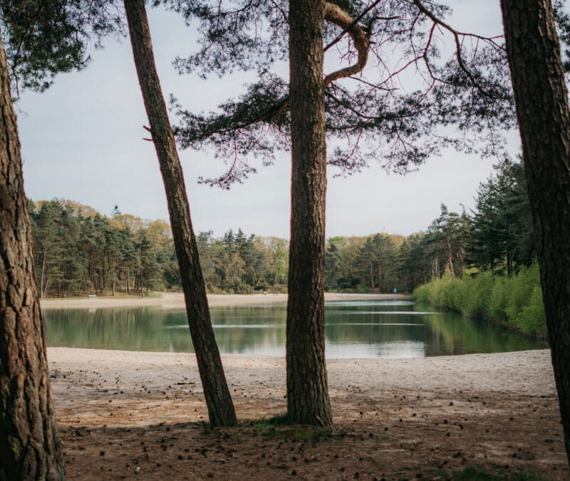 Ieberenplas-Drenthe-Zwemmen-Meer
