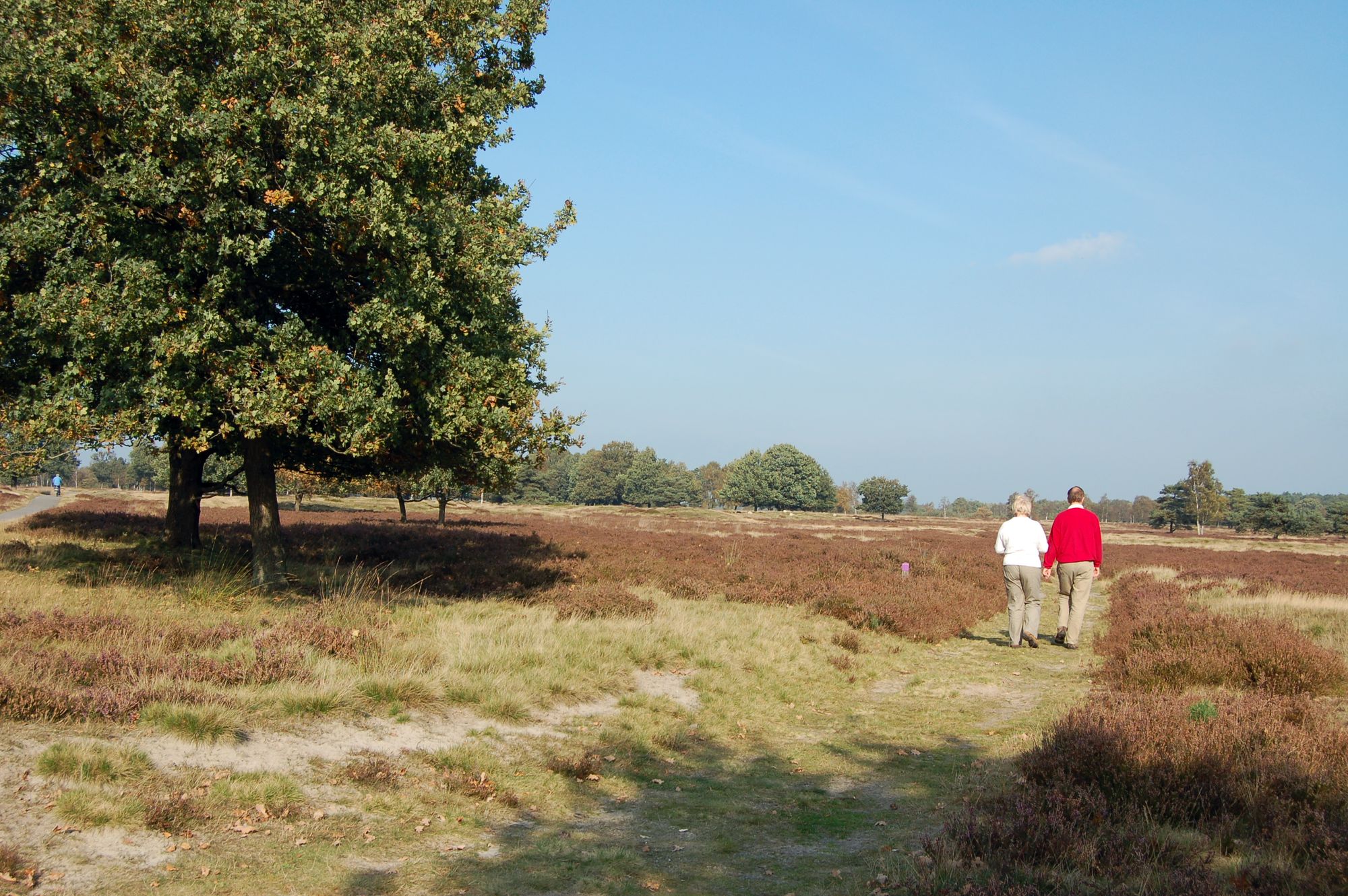 Camping Westerbork westerborkpad