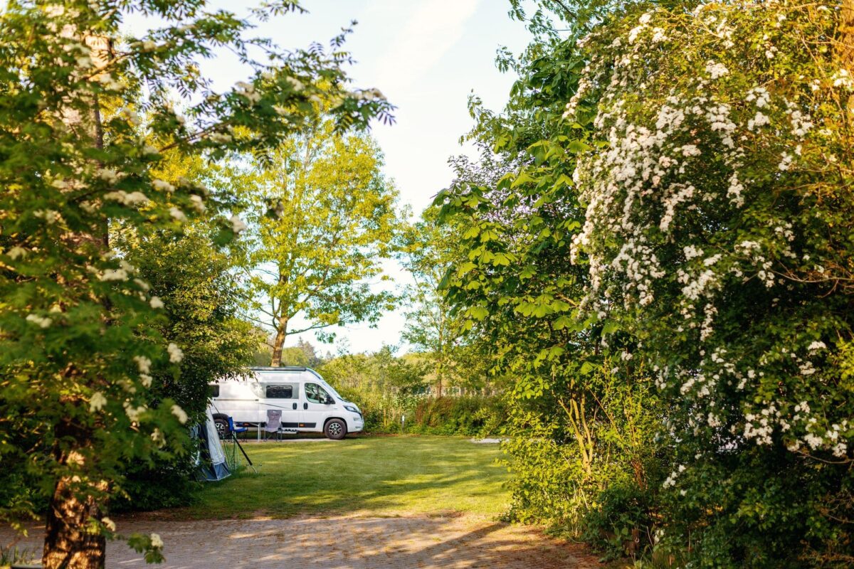 Verharde camperplaatsen in Drenthe | camping Tikvah