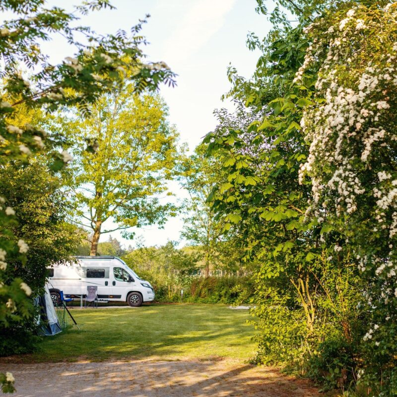 Verharde camperplaatsen Verharde camperplaatsen in Drenthe | camping Tikvah